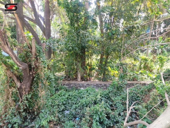 Commercial plot for sale in Manali bypass, Palakkad Kerala