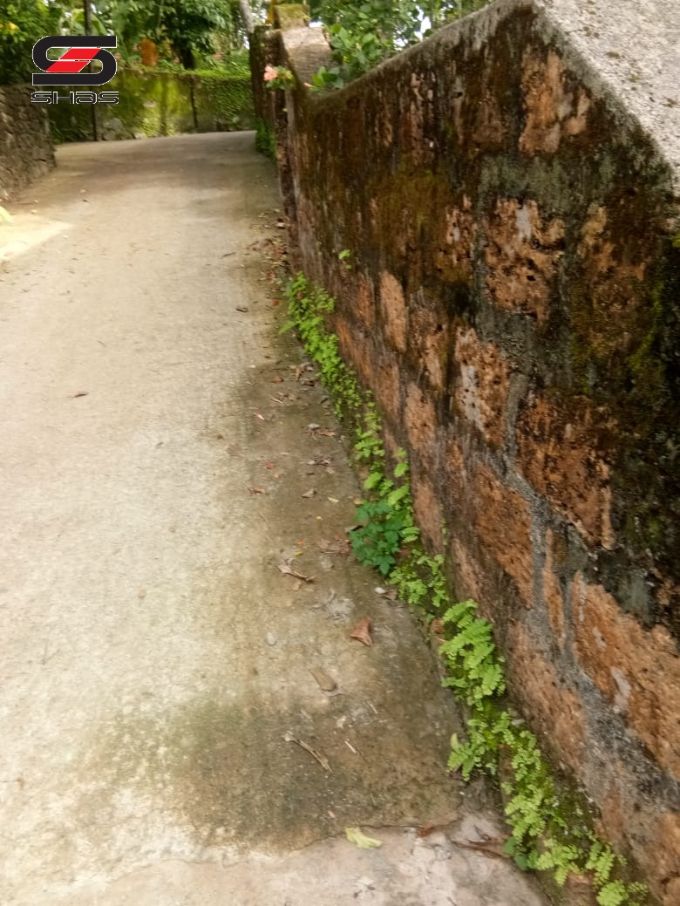 House plot for sale in Perinthalmanna, Malappuram