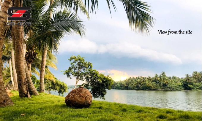 Back water front farmlands for sale in Pondicherry, India