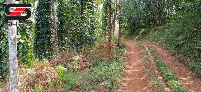 Farmland for sale in Mananthavady, Wayanad