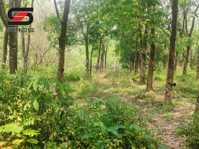 Rubber estate for sale in Poriyani, Palakkad