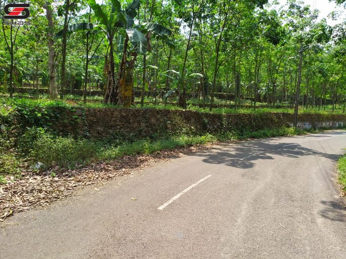 House plot for sale in Aloor, Kottayam