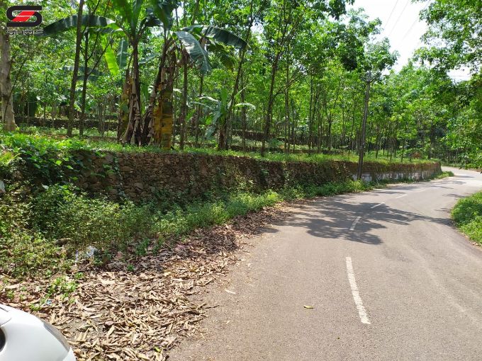 House plot for sale in Aloor, Kottayam