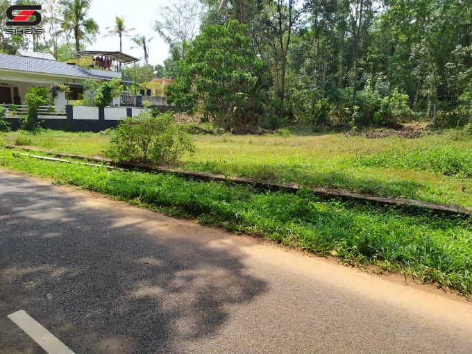 House plot in Aloor, Kottayam for sale