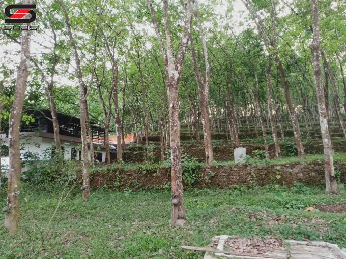 Plot for sale in Karoor, Kottayam