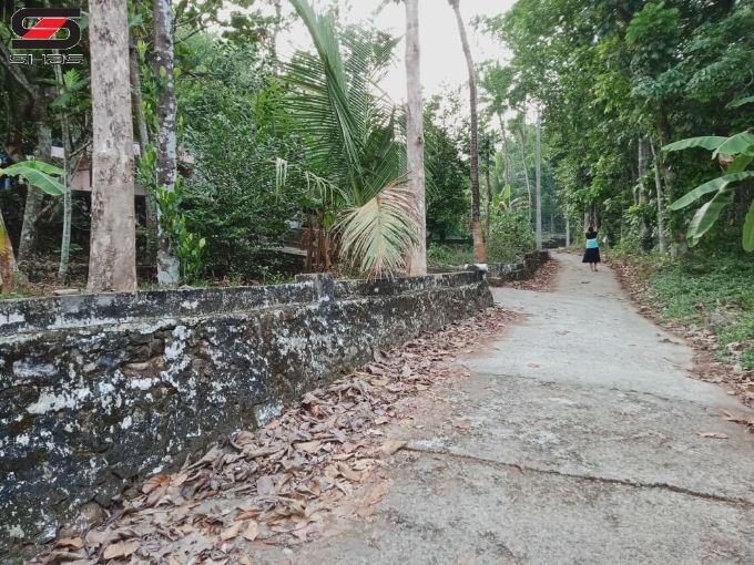 Plot for sale in Karoor, Kottayam