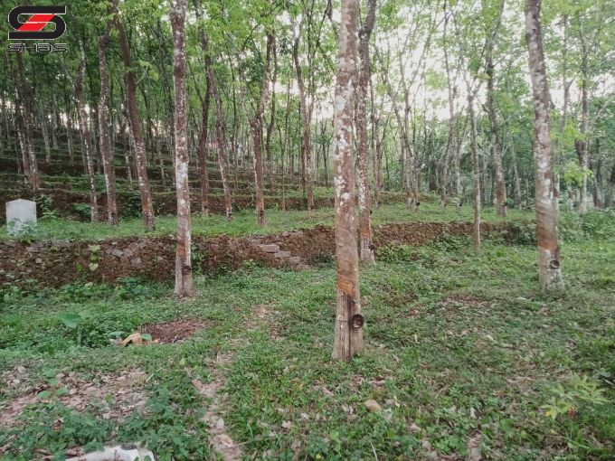 Plot for sale in Karoor, Kottayam