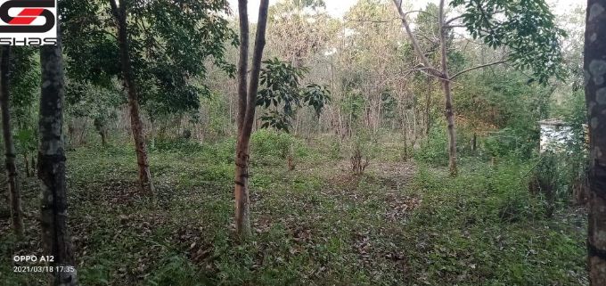 House plot for sale in Ottappalam, Palakkad